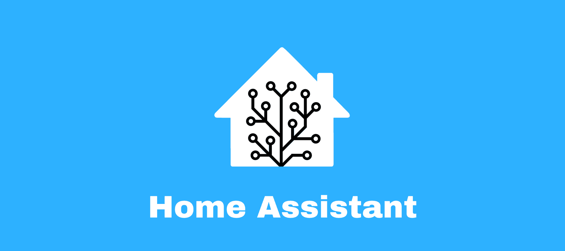 HomeAssistant